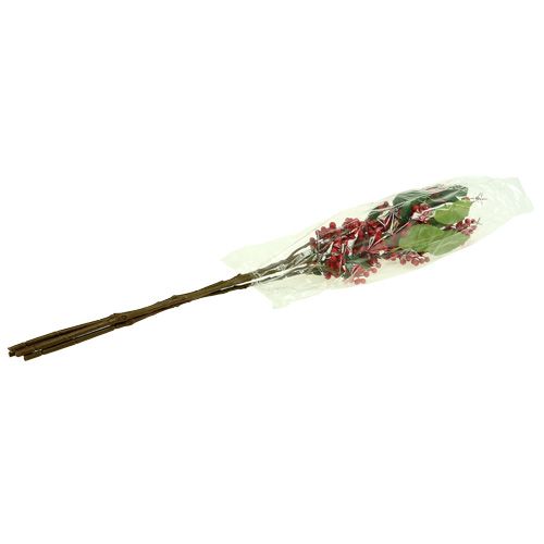 Floristik24 Marjahaara punainen 63cm 4kpl