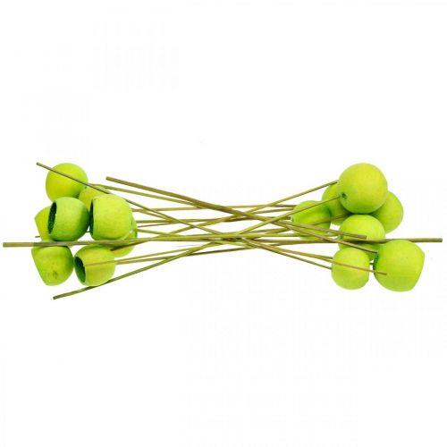 kohteita Bell Cup kepillä Green Dried Exotics 15 kpl