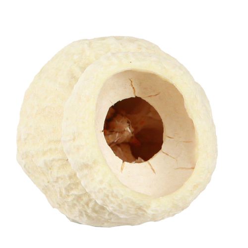 kohteita Bellgum kuivattu kellohedelmä valkaistu 2,5-3,5cm 500g