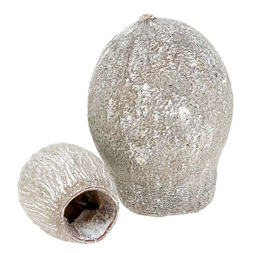 kohteita Bellgums kalkittu 2cm - 5cm 500g