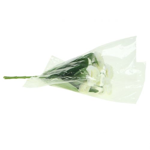 kohteita Bellisbund valkoinen 24cm 2kpl