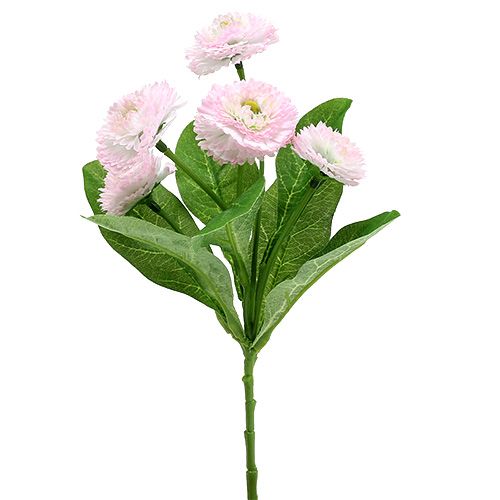 Floristik24 Bellispick vaaleanpunainen L 24cm