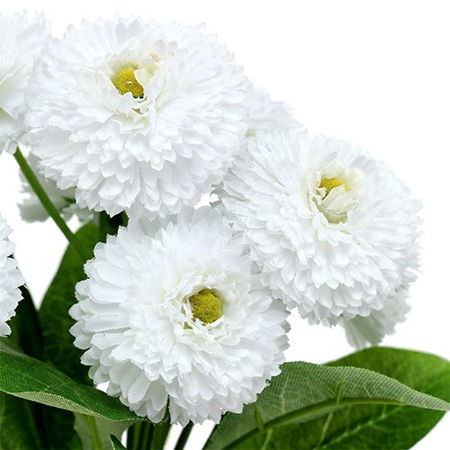 kohteita Bellis kukkakimppu valkoinen 24cm 3kpl