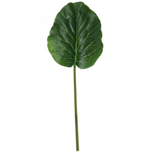 kohteita Keinotekoinen vihreä kasvi Bergenia vihreä keinokasvi 53cm