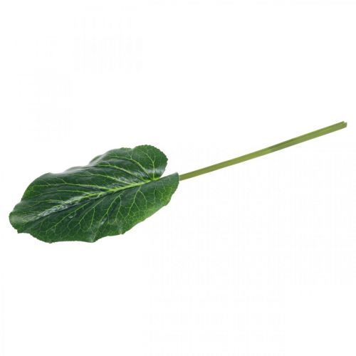 kohteita Keinotekoinen vihreä kasvi Bergenia vihreä keinokasvi 53cm