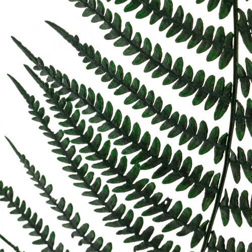 kohteita Vuorisaniainen koriste saniainen säilötyt saniaisten lehdet vihreät 45cm 20kpl