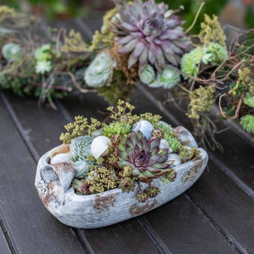 Floristik24 Betonikulho soikea valkoinen harmaa ruskea kahvoilla antiikki L25cm