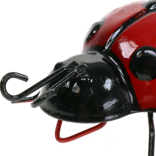 Floristik24 Leppäkerttu 10cm