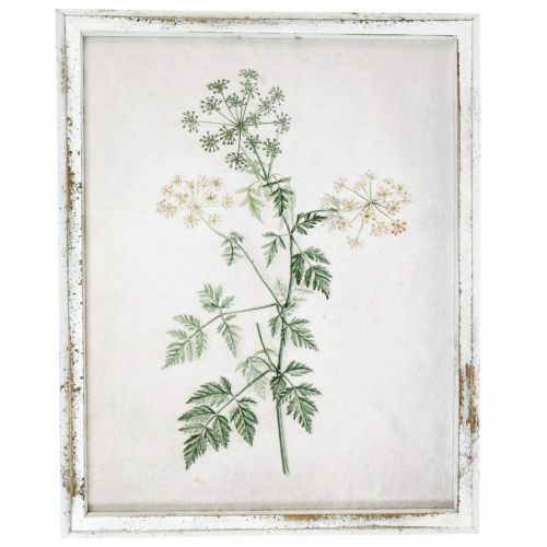 kohteita Vintage seinäkoristelu, kuva kehyksellä puukuivattu kasvi 40×50cm