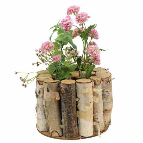 Floristik24 Koivupurkki koeputkilla luonnon Ø17cm K13cm