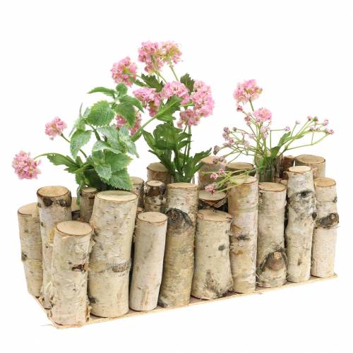 Floristik24 Koivupurkki koeputkilla luonnollinen 32cm