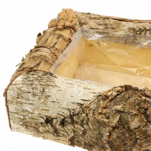 Floristik24 Koivun istutin 30cm x 20cm K8cm