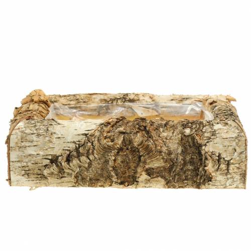 Floristik24 Koivun istutin 30cm x 20cm K8cm