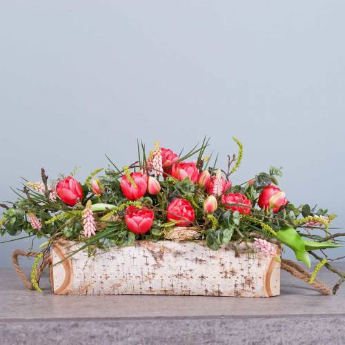 Floristik24 Kasvilaatikko koivu köysikahvalla 38x16cm K9cm