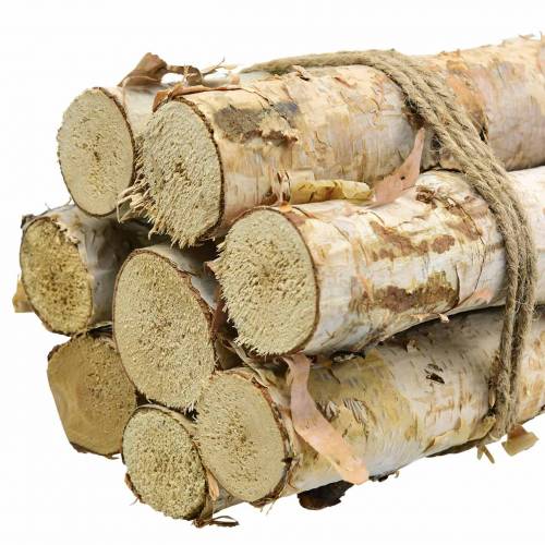 Floristik24 Koivun oksat niputettu luonto 40cm