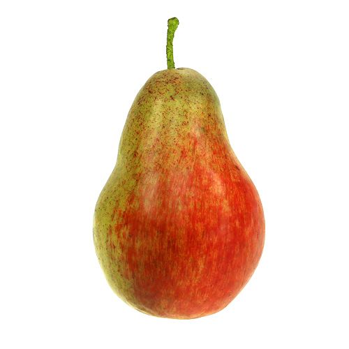 Floristik24 Päärynänpunainen, vihreä 11cm - 12cm 3kpl.