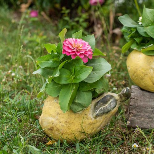 kohteita Päärynä istutukseen, syksyn koristeluun, betoniastia L19cm H15,5cm