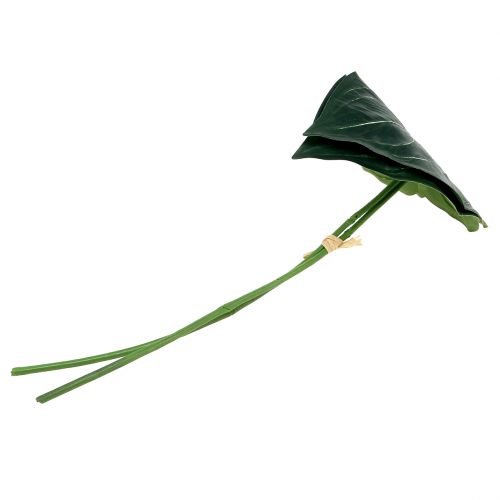 Floristik24 Caladium-lehti 32cm 2kpl