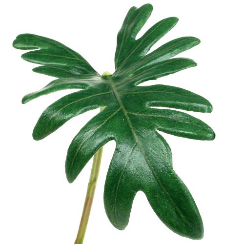 Floristik24 Leaf Philodendron 31cm Vihreä 12 kpl