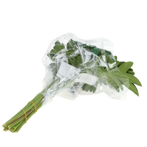 kohteita Leaf Philodendron 31cm Vihreä 12 kpl