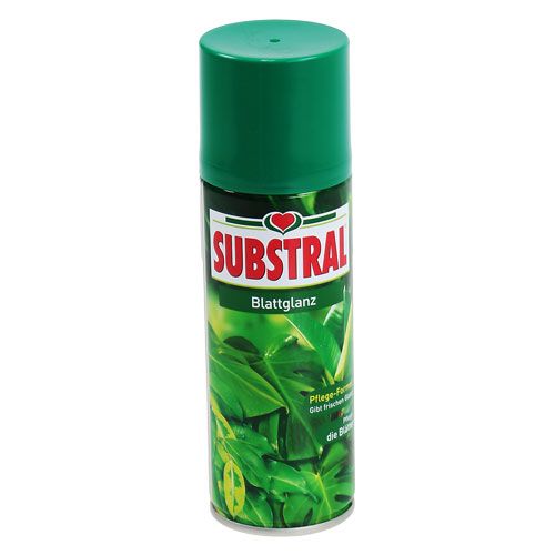 Floristik24 Lehtien kiilto 200ml