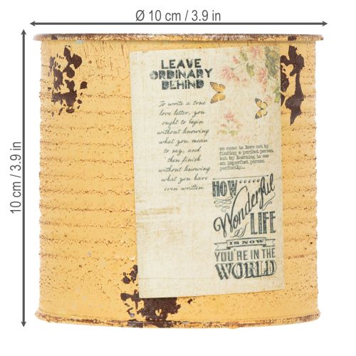 kohteita Metallipurkki koristepurkki aprikoosi metallinen kukkaruukku Ø11cm K10.5cm