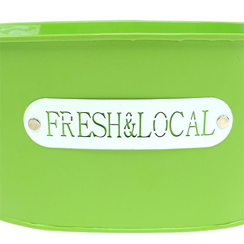 Floristik24 Peltikulho soikea vihreä 22cm x 15cm K10cm