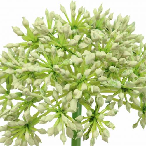 kohteita Allium keinotekoinen valkoinen 55cm
