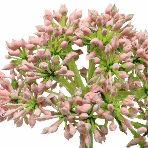 kohteita Allium keinotekoinen vaaleanpunainen 55cm