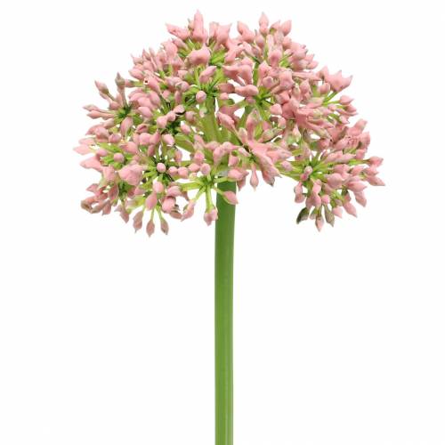 kohteita Allium keinotekoinen vaaleanpunainen 55cm