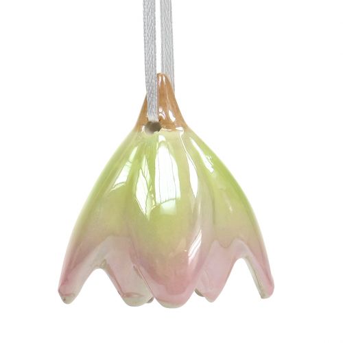 Floristik24 Kukkakellosekoitus 5,5cm - 7,5cm 4kpl