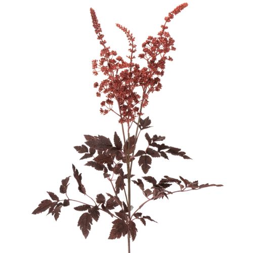 Tekokukka Astilbe pitkävartinen loisto 80cm