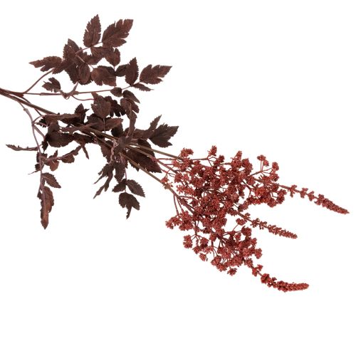 Tekokukka Astilbe pitkävartinen loisto 80cm | Floristik24.fi