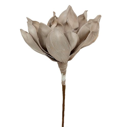 Floristik24 Blossom haara vaahto harmaa 65cm