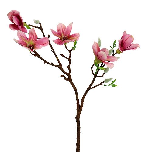 Floristik24 Magnolia miniroosa, vaaleanpunainen L53cm 3kpl