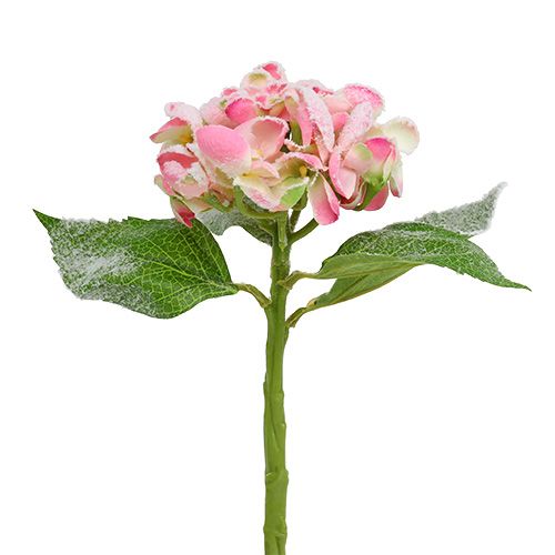 Floristik24 Hortensia pinkki luminen 33cm 4kpl