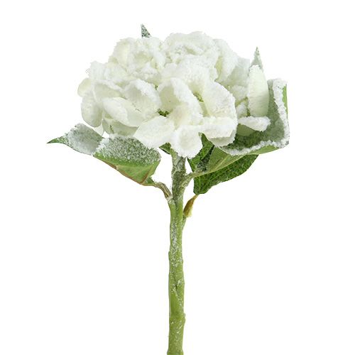 Floristik24 Hortensia valkoinen luminen 33cm 4kpl