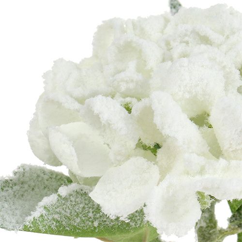 kohteita Hortensia valkoinen luminen 33cm 4kpl