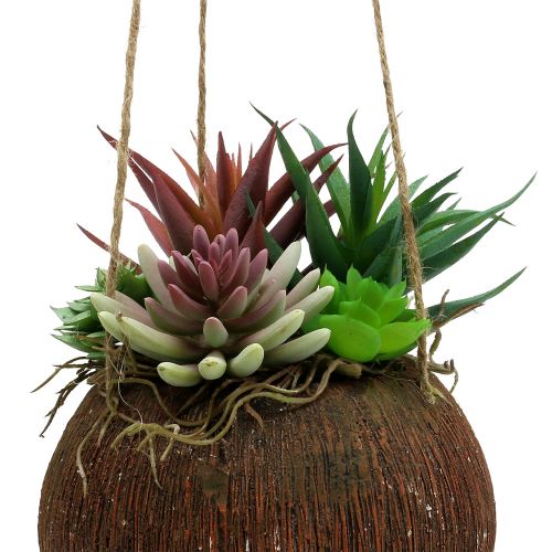 Floristik24 Riippukori keinotekoisilla sukulenteilla L65cm Ø16cm