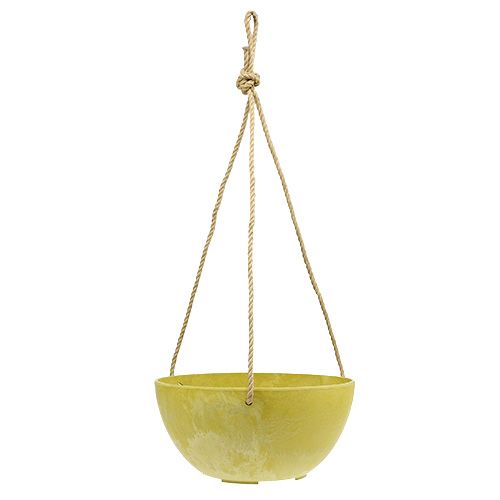 Floristik24 Kukkakori Fiona Ø25cm K12cm Sitruuna