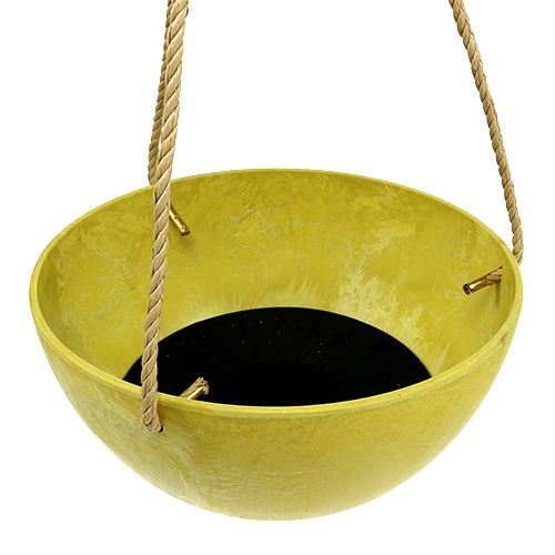 Floristik24 Kukkakori Fiona Ø25cm K12cm Sitruuna