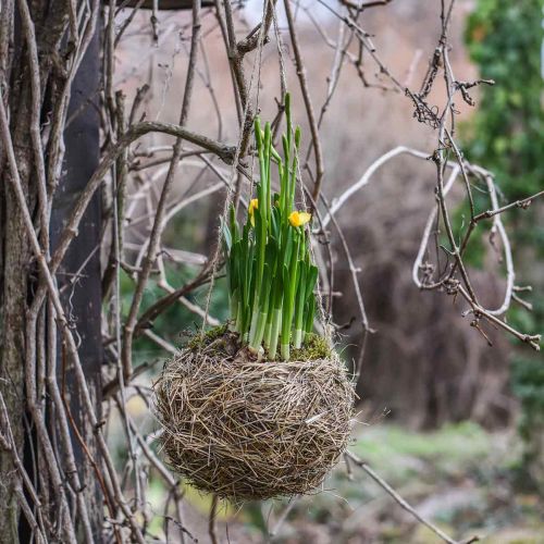 Blumenampel Heu Natur Kasvikori ripustettavaksi Riippuruukku Ø20cm