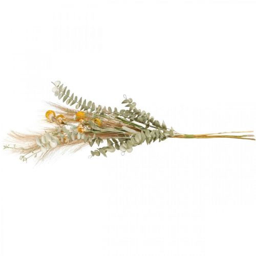 kohteita Tekokukat Craspedia höyhenruoho eukalyptus 55cm nippu