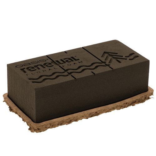Kukkavaahtomuovi 1/1 tiili OASIS® Renewal® Kukkavaahtomuovi Biolit® 24 cm 2 kpl