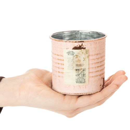 kohteita Kukkaruukku koristeellinen lohi metallinen yrttipurkki Ø8cm K7.5cm