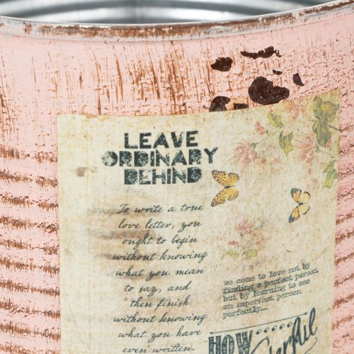 kohteita Kukkaruukku koristeellinen lohi metallinen istutuskone Ø15,5cm K15cm