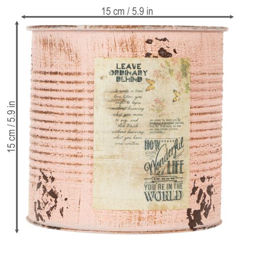 kohteita Kukkaruukku koristeellinen lohi metallinen istutuskone Ø15,5cm K15cm