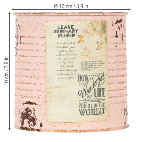 kohteita Kukkaruukku koristeellinen lohi metallinen kesäkoriste Ø11cm K10.5cm