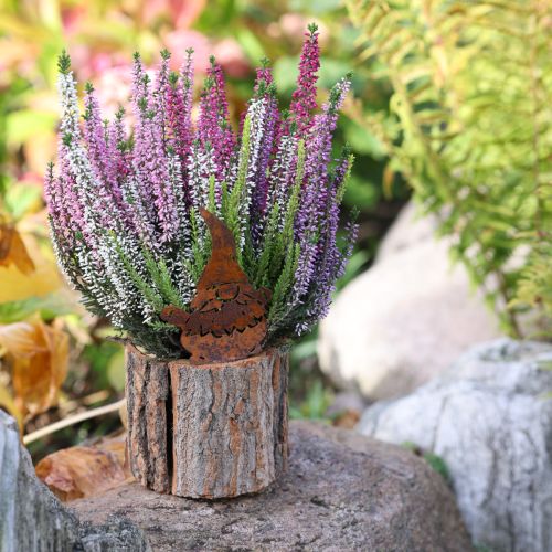 kohteita Kukkaruukku, puukuori, gnome, ruoste, korkeus 24 cm