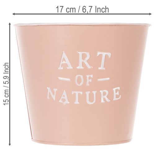 kohteita Sinkkiruukku Art of Nature, antiikkiruusu, Ø17,5cm, korkeus 15cm